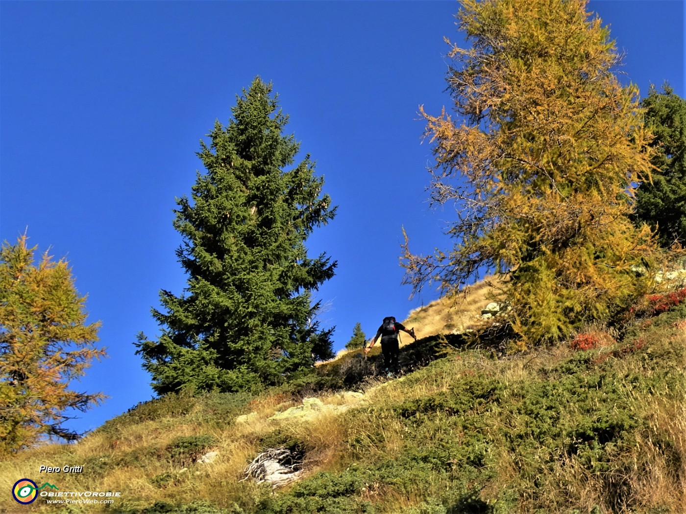 17 Seguiamo labile sentierino tra larici colorati d'autunno.JPG